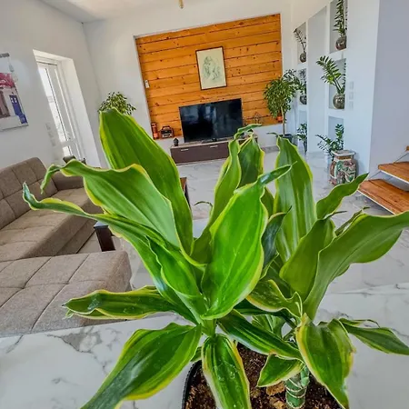 Vila Castros Delmare *